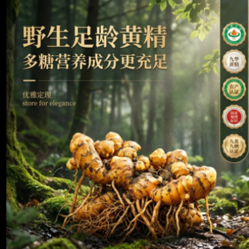 AIGC视觉创意展示4